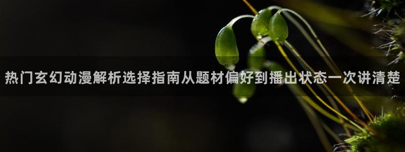欧美动漫推荐