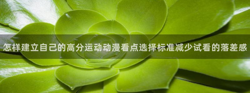 动漫资讯网站