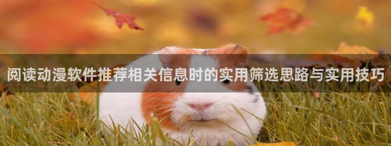 治愈动漫推荐