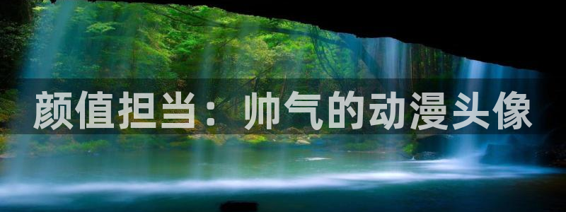 动漫网站导航