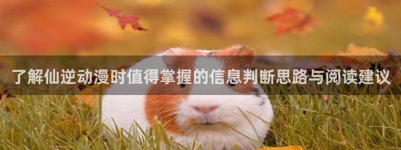 动漫番剧