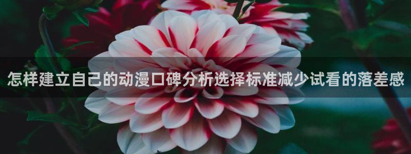 冒险动漫推荐