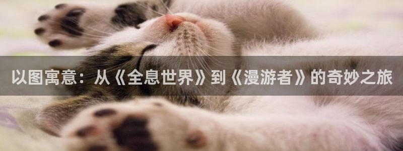 机战动漫