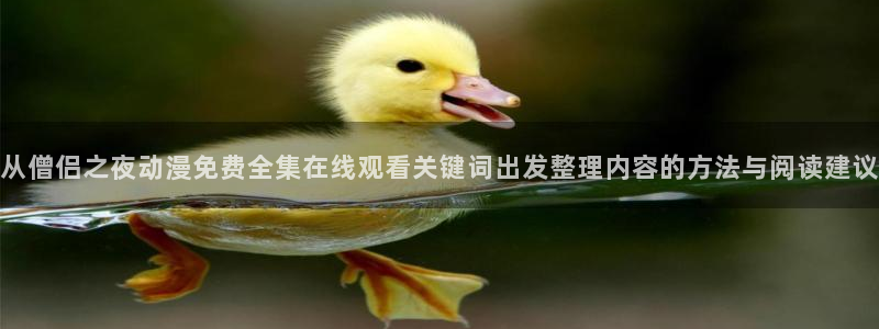 动漫分类